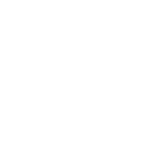 Logo der Marke DFMoto